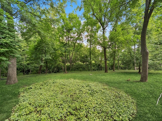7025 Rocklyn Cir, Urbandale, IA 50322 - photo 33