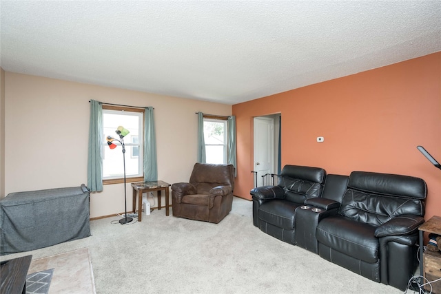 301 Hillside Ave, West Des Moines, IA 50265 - photo 10