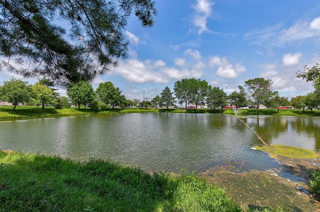 555 SE Laurel St Unit 20, Waukee, IA 50263 - photo 31