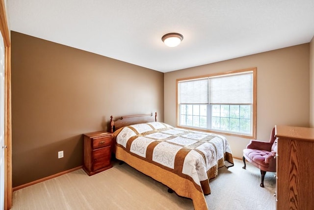 1012 NE Greenview Dr, Ankeny, IA 50021 - photo 21