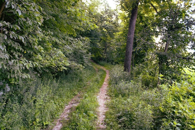 00 Grandview Rd Highway, Elkader, IA 52044 - photo 18