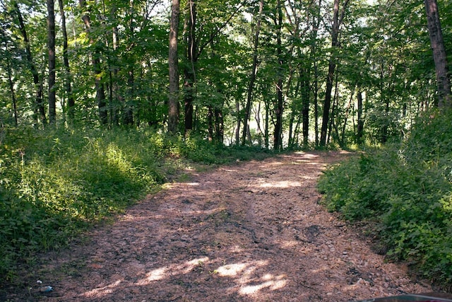 00 Grandview Rd Highway, Elkader, IA 52044 - photo 19
