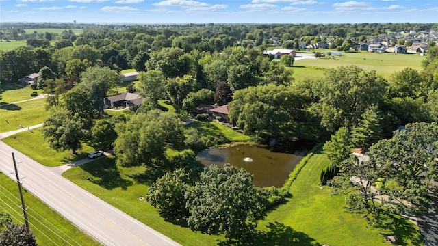 6514 SE 6th Ave, Pleasant Hill, IA 50327 - photo 32