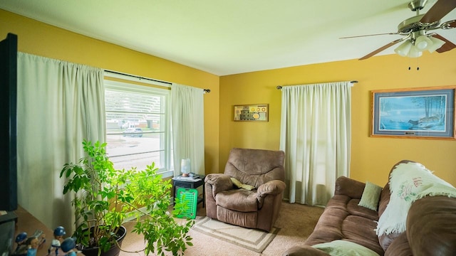 518 Rapids St, Adel, IA 50003 - photo 6