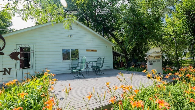 518 Rapids St, Adel, IA 50003 - photo 18