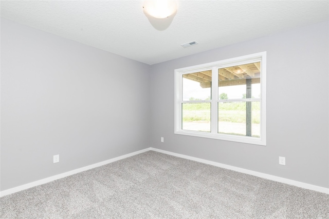 411 NE Madison Ave, Elkhart, IA 50073 - photo 28