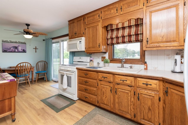 6550 SE 32nd Ave, Pleasant Hill, IA 50327 - photo 7