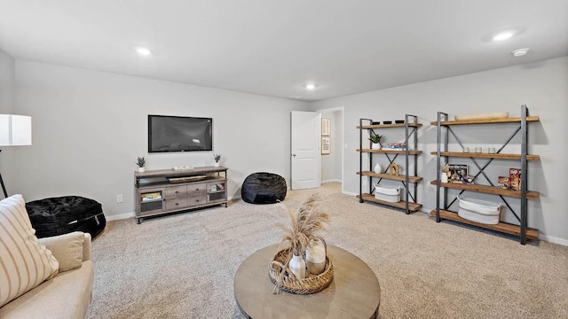 704 E Trail Ridge Pl, Indianola, IA 50125 - photo 24