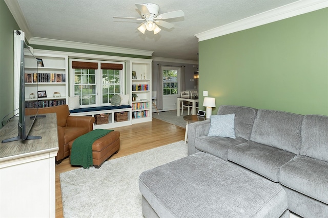 317 SW Logan St, Ankeny, IA 50023 - photo 6