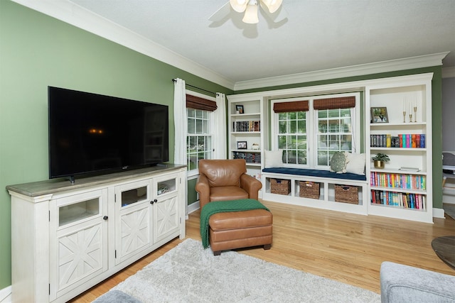 317 SW Logan St, Ankeny, IA 50023 - photo 10