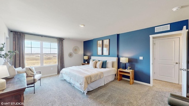 1316 NE Country Meadow Dr, Ankeny, IA 50021 - photo 13