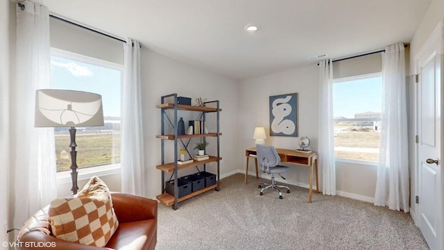 1316 NE Country Meadow Dr, Ankeny, IA 50021 - photo 19