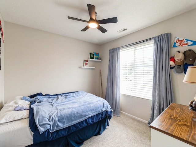 828 SW 47th Cir, Ankeny, IA 50023 - photo 13