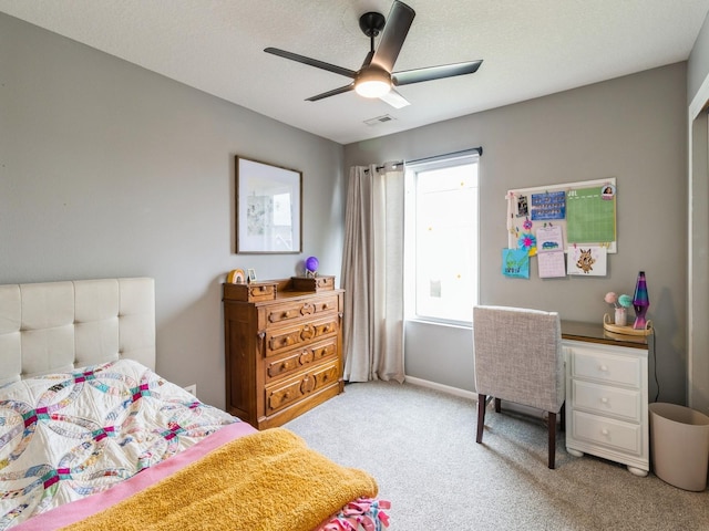 828 SW 47th Cir, Ankeny, IA 50023 - photo 14