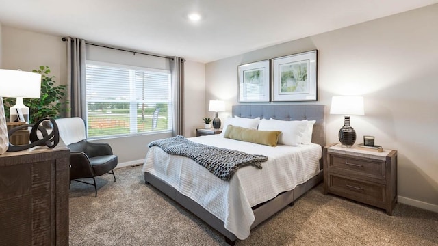 4407 NE 11th St, Ankeny, IA 50021 - photo 9
