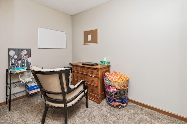 205 NE 9th St, Ankeny, IA 50021 - photo 21