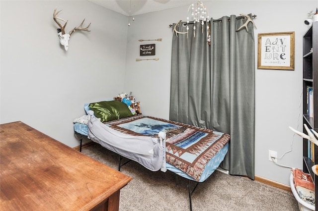 205 NE 9th St, Ankeny, IA 50021 - photo 28