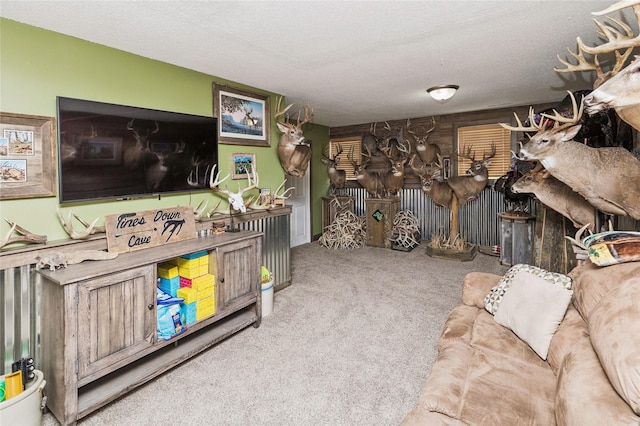 205 NE 9th St, Ankeny, IA 50021 - photo 31