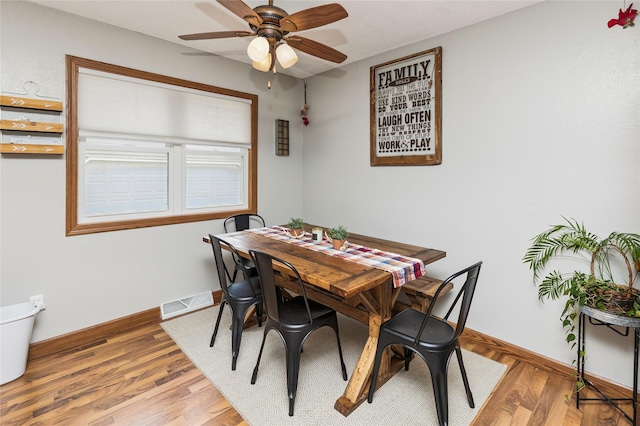 205 NE 9th St, Ankeny, IA 50021 - photo 13