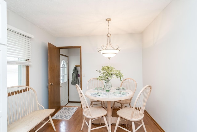 413 NE 8th St, Ankeny, IA 50021 - photo 7