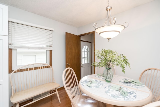 413 NE 8th St, Ankeny, IA 50021 - photo 8