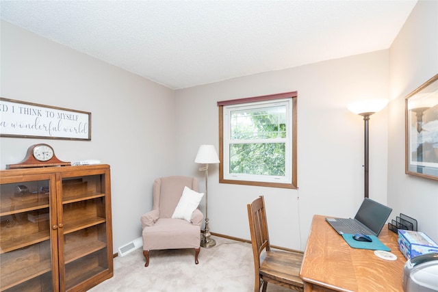 413 NE 8th St, Ankeny, IA 50021 - photo 13