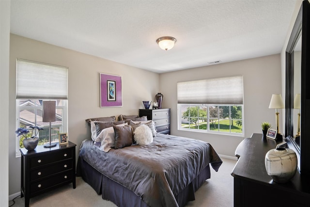 596 SE Williams Ct, Waukee, IA 50263 - photo 11