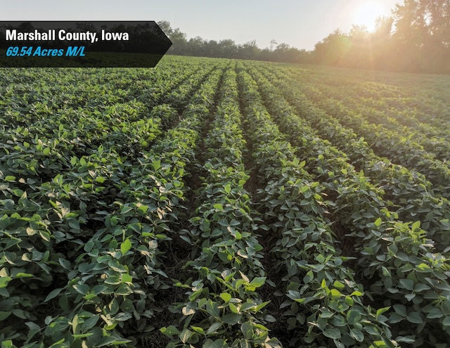 00 280th St, Ferguson, IA 50078 - photo 1