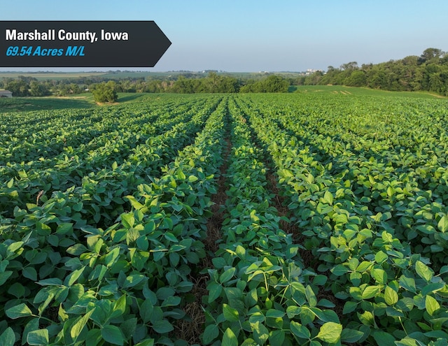 00 280th St, Ferguson, IA 50078 - photo 3