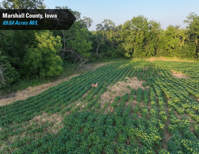 00 280th St, Ferguson, IA 50078 - photo 6