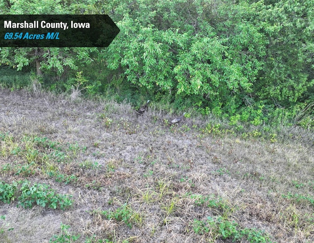00 280th St, Ferguson, IA 50078 - photo 7