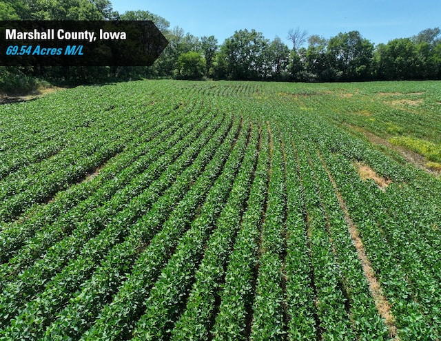 00 280th St, Ferguson, IA 50078 - photo 9