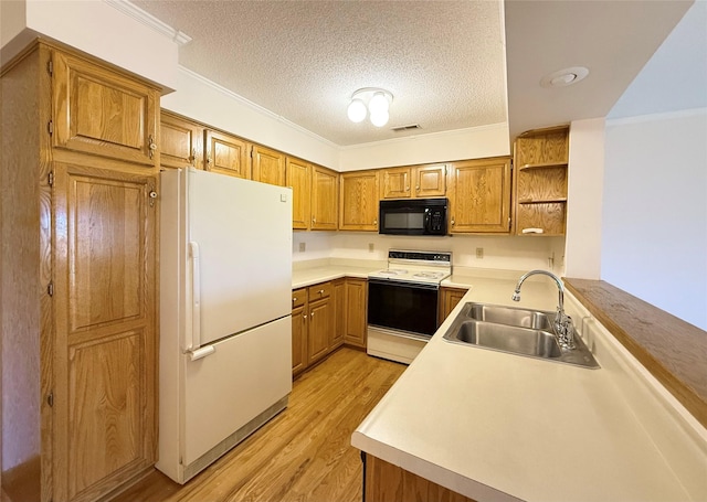 405 SE Delaware Ave Unit 207, Ankeny, IA 50021 - photo 5