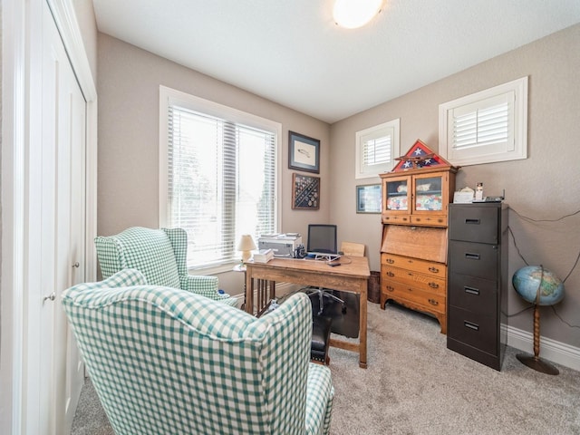 252 NE Pinehurst Cir, Ankeny, IA 50021 - photo 14