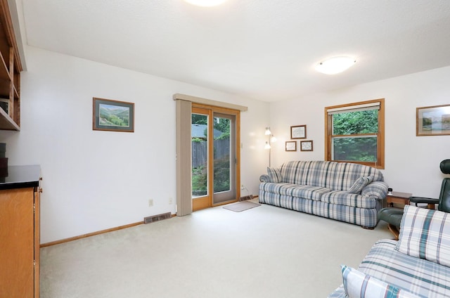 1055 21st St, West Des Moines, IA 50265 - photo 9