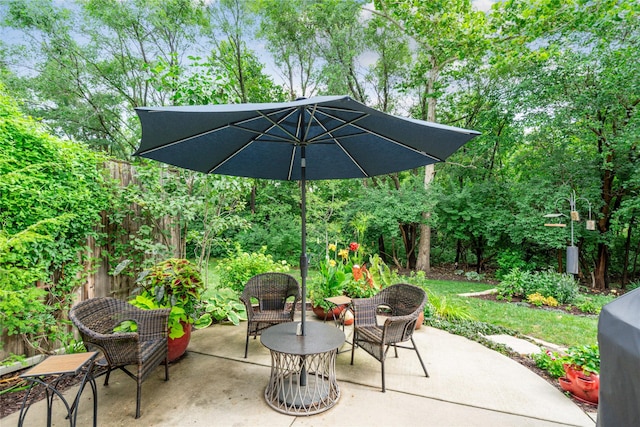 12699 Diamond Ridge Ct, Clive, IA 50325 - photo 25