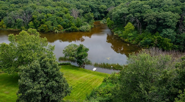 36892 W Shore Ln, Van Meter, IA 50261 - photo 25