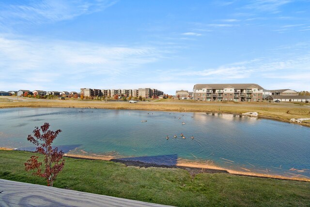 929 NE Traverse Dr, Waukee, IA 50263 - photo 21