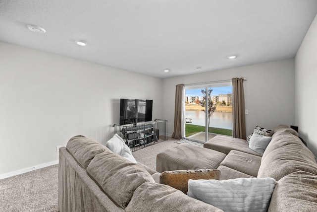 929 NE Traverse Dr, Waukee, IA 50263 - photo 24