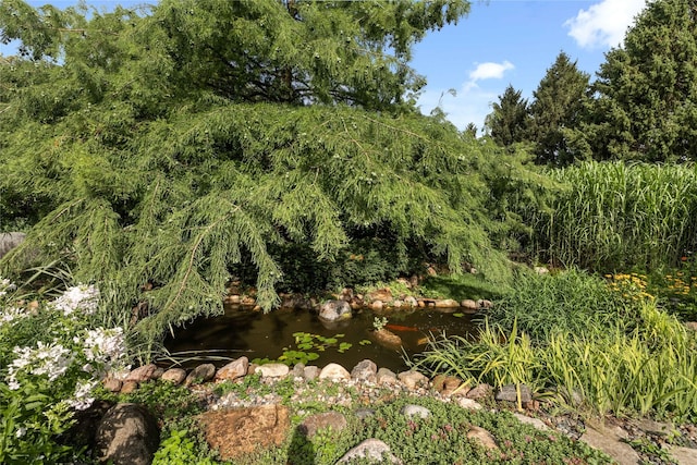 2702 NW 4th Cir, Ankeny, IA 50023 - photo 33