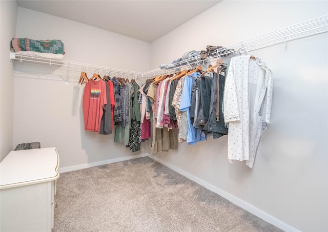 1085 Spruce St, Waukee, IA 50263 - photo 24
