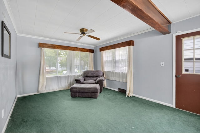 7302 SW 12th St, Des Moines, IA 50315 - photo 17