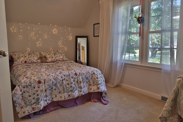 305 Union St, Pella, IA 50219 - photo 18