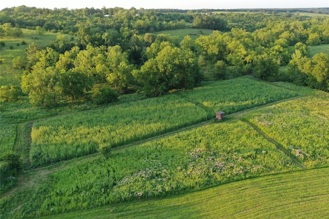 00 277th Trl, Chariton, IA 50049 - photo 4