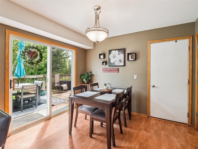 2621 8th Ave SE, Altoona, IA 50009 - photo 13