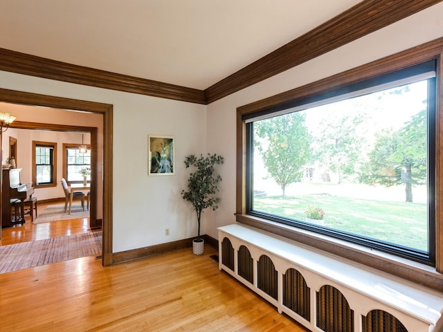 5108 Grand Ave, Des Moines, IA 50312 - photo 9