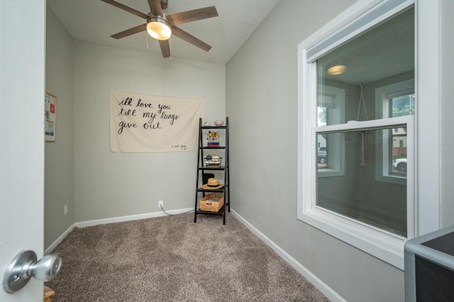 2317 Des Moines St, Des Moines, IA 50317 - photo 14