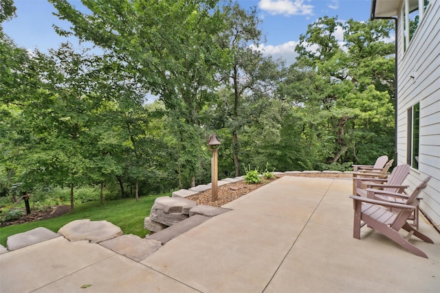 24261 Trail Ridge Ct, Adel, IA 50003 - photo 29