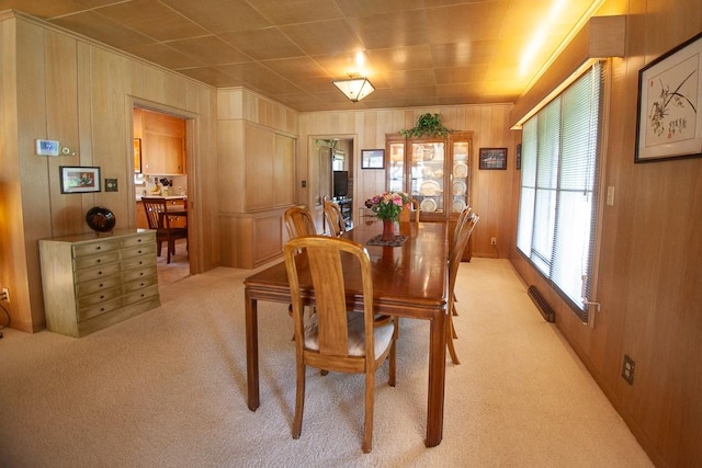 4055 42nd St, Des Moines, IA 50310 - photo 18