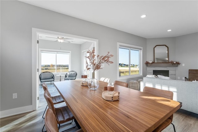 dining area with ceiling fan and hardwood / wood-style flooring